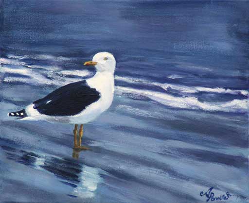 Andrea Power Dingle Artist's Gull on the Wild Atlantic Way