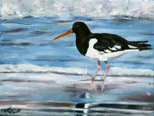 Andrea Power Dingle Artist's Oyster Catcher on the Wild Atlantic Way