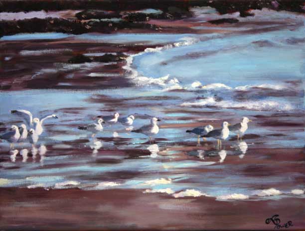 Andrea Power Dingle Artist's Seabirds Gathering on the Wild Atlantic Way