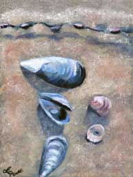 Andrea Power Dingle Artist Seashells