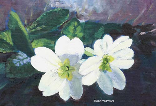 From Darkness into Light  by Andrea Power Dingle Artist on the Wild Atlantic Way