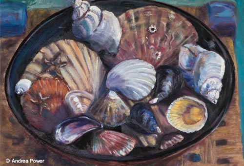 Shells From Ventry Beach by Andrea Power Dingle Artist on the Wild Atlantic Way