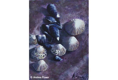 Rock Life by Andrea Power Dingle Artist on the Wild Atlantic Way