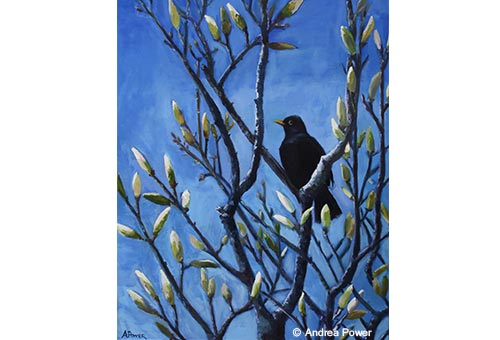 Spring Evensong by Andrea Power Dingle Artist on the Wild Atlantic Way