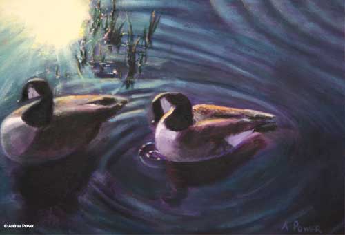 Sunburst Reflection with Brent Geese by Andrea Power Dingle Artist on the Wild Atlantic Way
