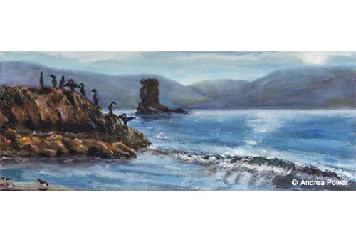 Cormorants Resting by Andrea Power Dingle Artist on the Wild Atlantic Way