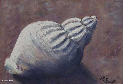 Ventry Whelk by Andrea Power Dingle Artist on the Wild Atlantic Way