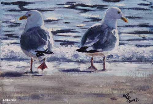 Gull Talk by Andrea Power Dingle Artist on the Wild Atlantic Way