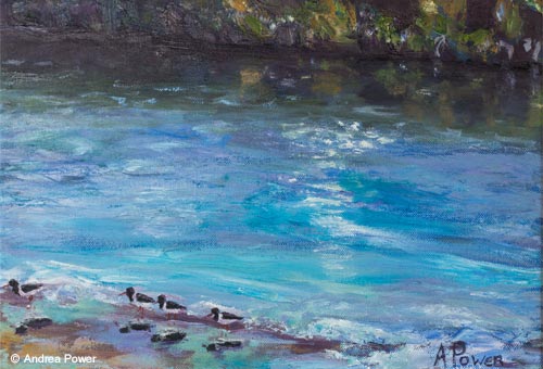 Oyster Catchers by the River by Andrea Power Dingle Artist on the Wild Atlantic Way