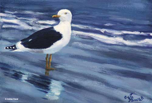Black Backed Gull by Andrea Power Dingle Artist on the Wild Atlantic Way