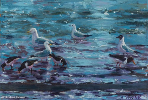 Seabirds Feeding by Andrea Power Dingle Artist on the Wild Atlantic Way