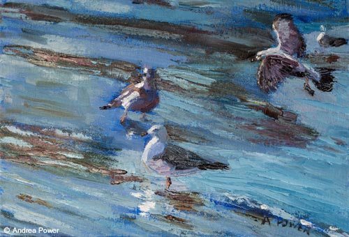Gull's Gathering by Andrea Power Dingle Artist on the Wild Atlantic Way